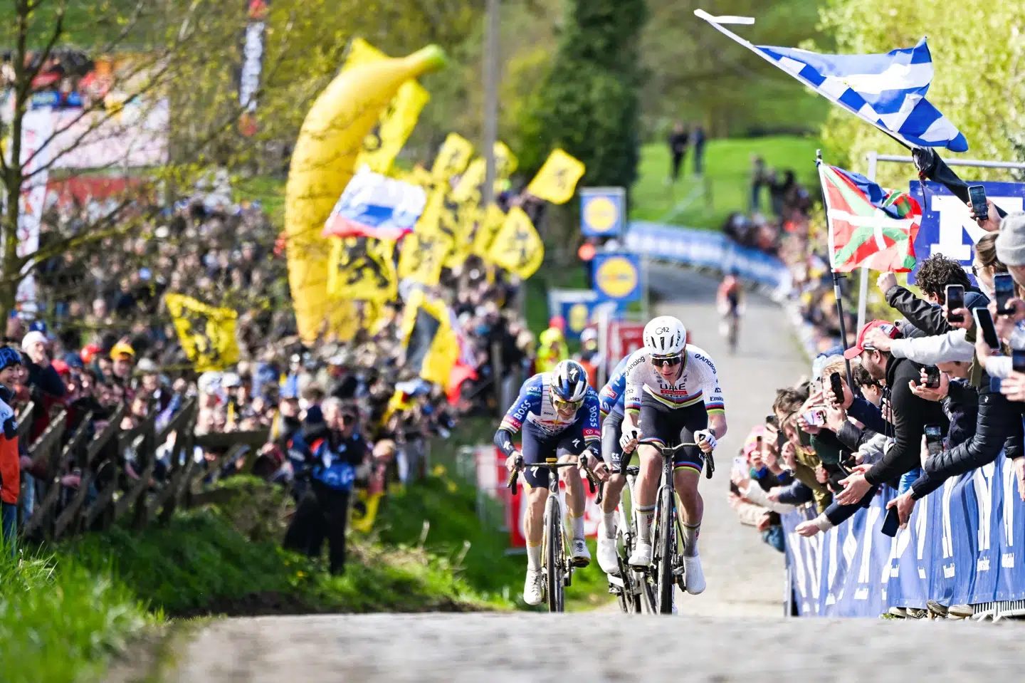 Tadej Pogacar sled en for en sine rivaler op og vandt for tredje gang i karrieren Flandern Rundt.