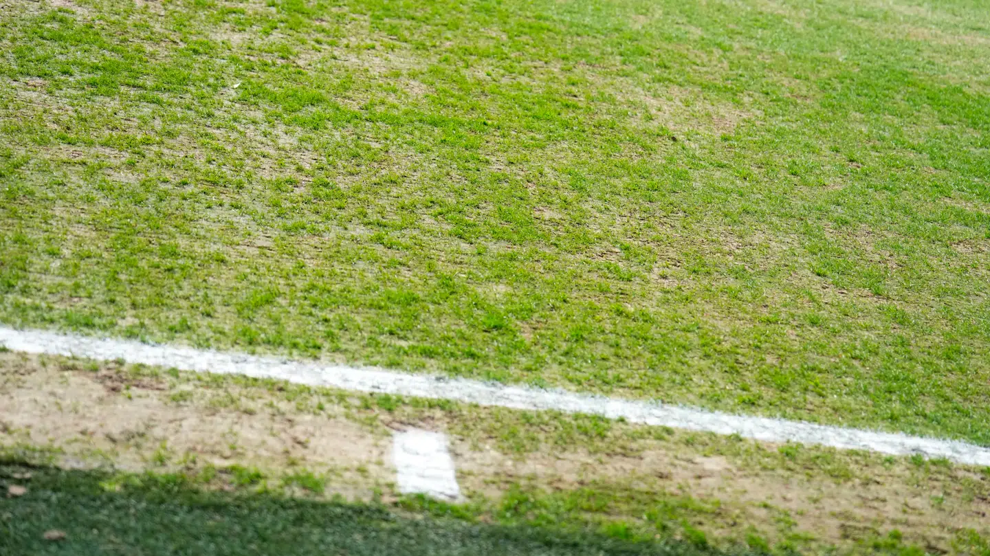 Mandagens bane i Vejle.