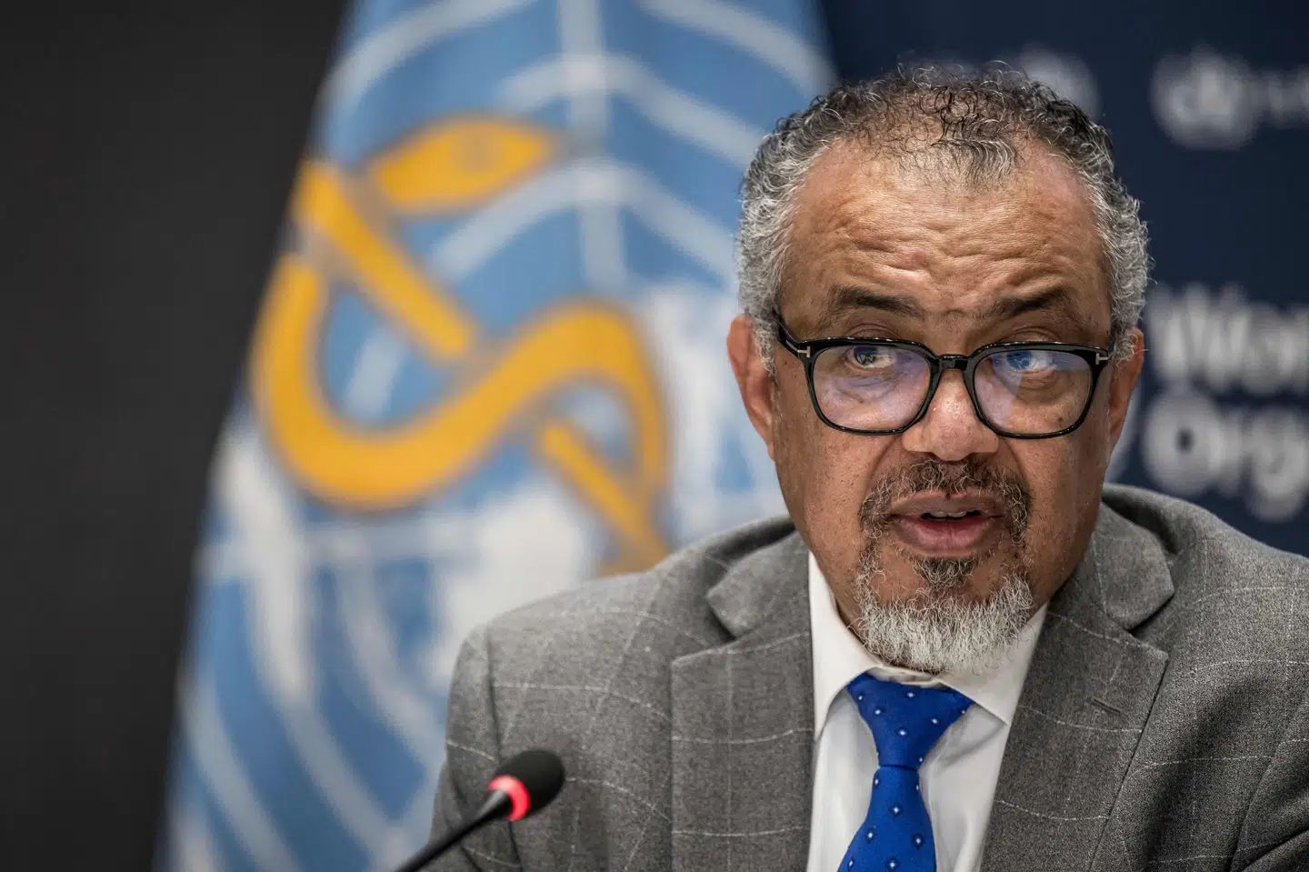 WHO-chefen Tedros Adhanom Ghebreyesus oplyser, at organisationen midlertidigt har stoppet medicinske evakueringer fra Gazastriben, efter at en kontraktansat er blevet dræbt. (Arkivfoto).