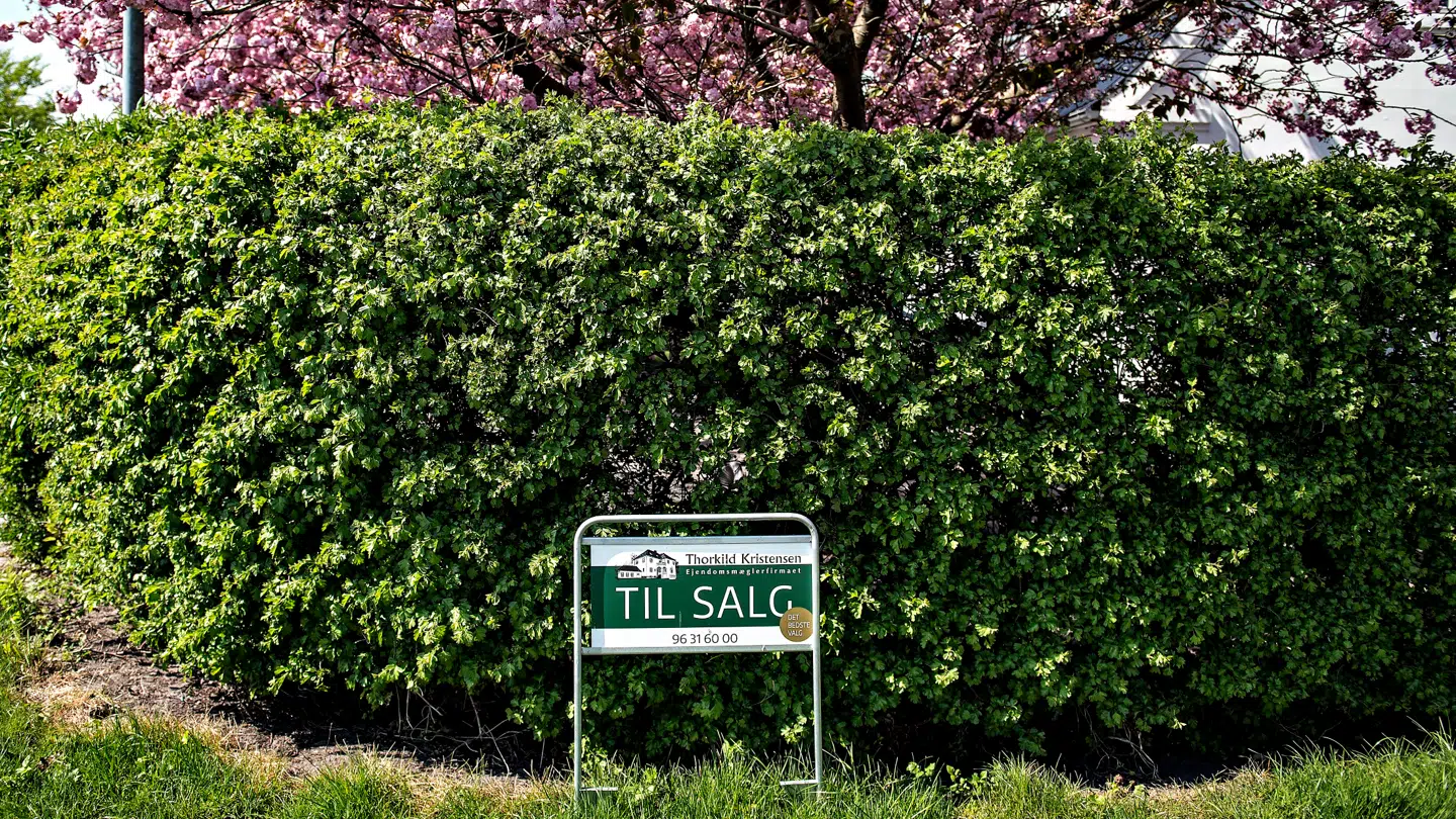 Opturen på boligmarkedet fortsætter.