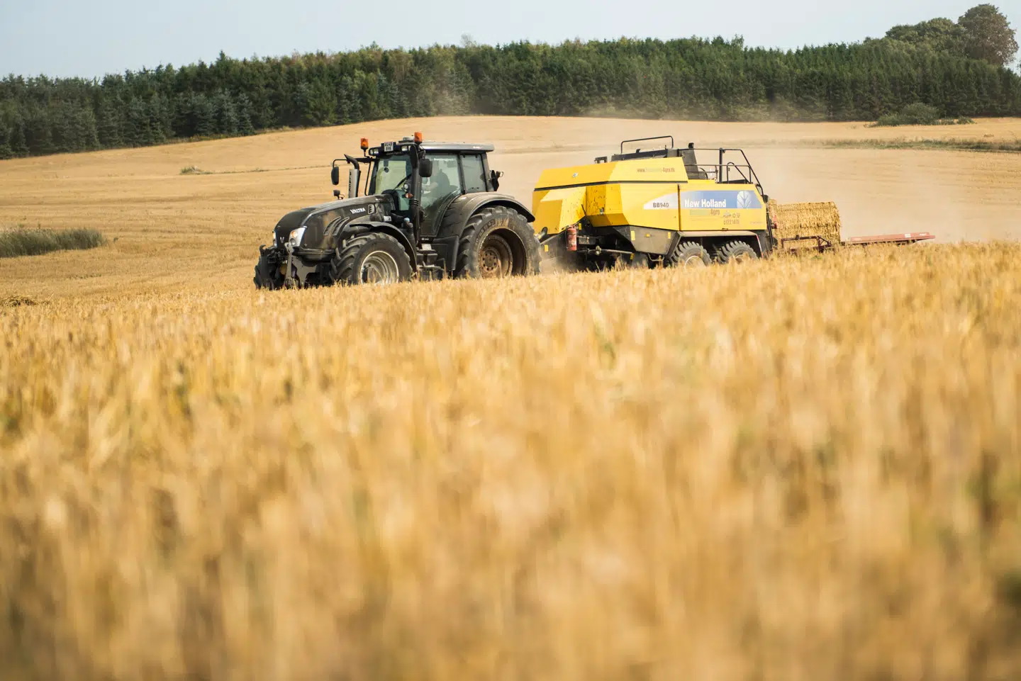 Christina Ahlefeldt-Laurvig, der blandt andet er medlem af Landbrug & Fødevarers hovedbestyrelse, mener, at kritikken af landbruget under valgkampen var uretfærdig. Arkivfoto: Anne Bæk