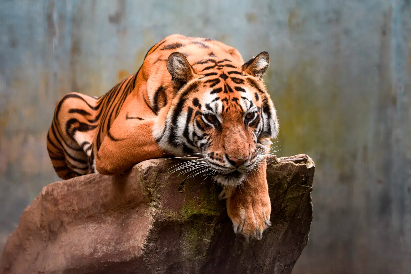 Når du deltager i dagens quiz, er du samtidig med i lodtrækningen om en præmie.