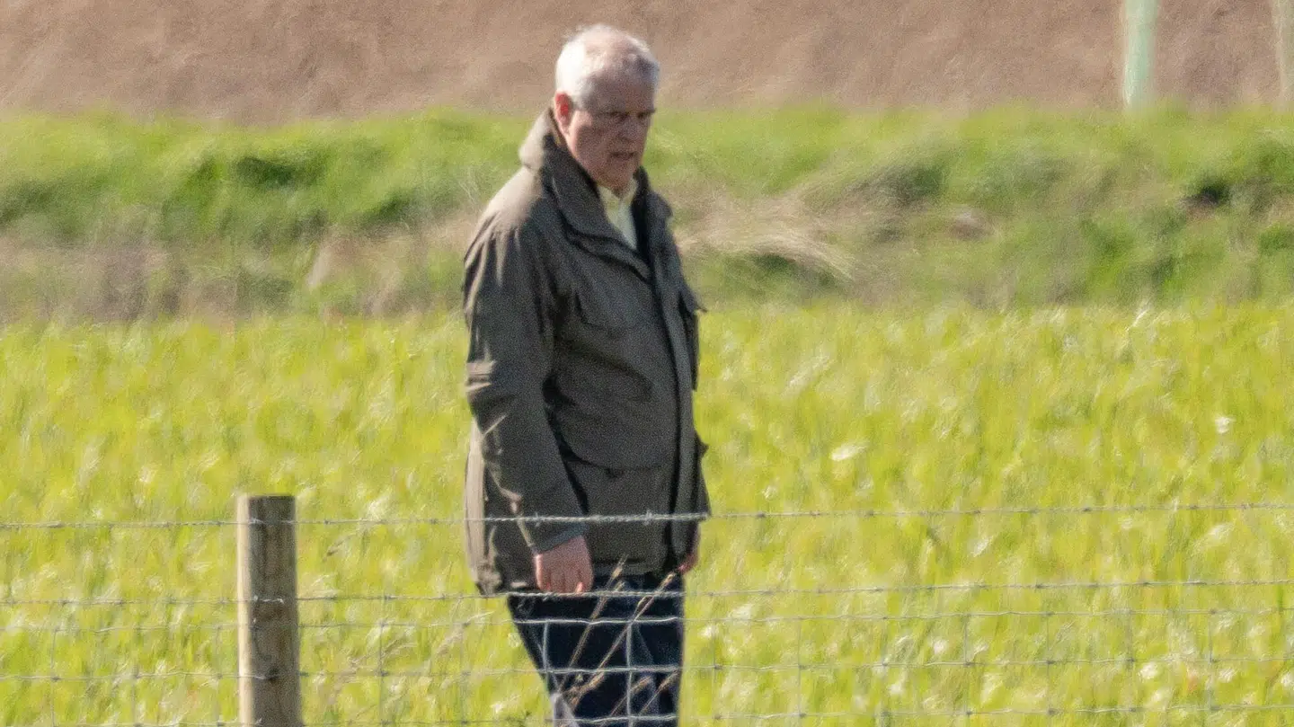 Her ses Andrew alene på markerne