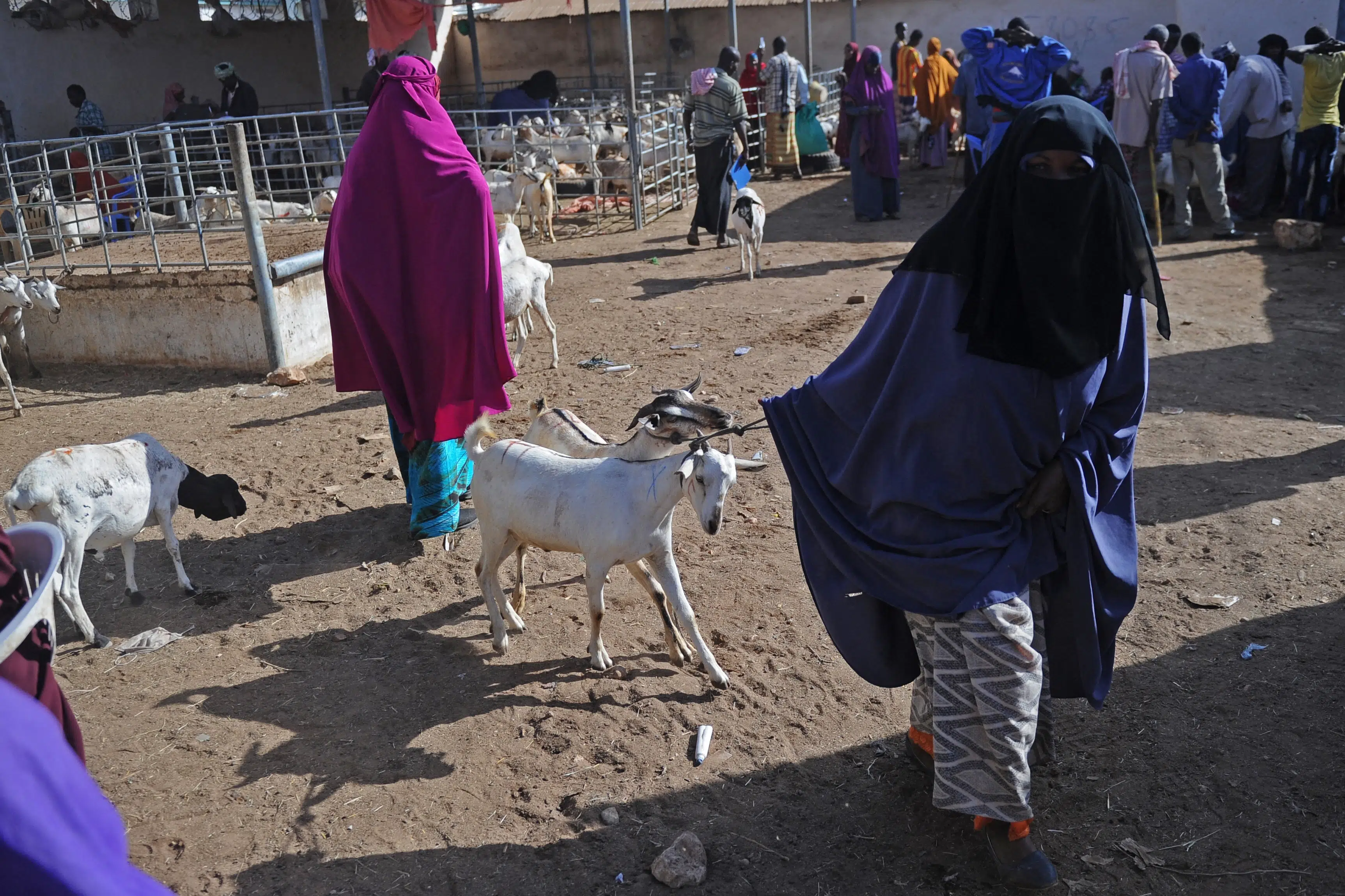 Far nægter at have slået og pisket døtre under ophold i Somalia