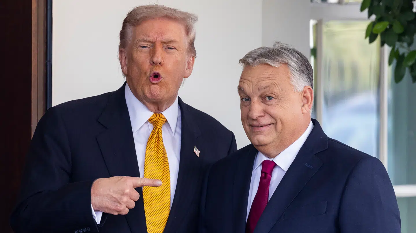 USAs præsident, Donald Trump (tv), og Ungarns premierminister, Viktor Orbán, fotograferet forud for et møde i Det Hvide Hus i november 2025.