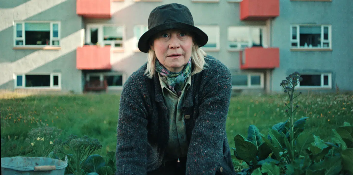 Trine Dyrholm ser sig sur på en kat i kvarteret.