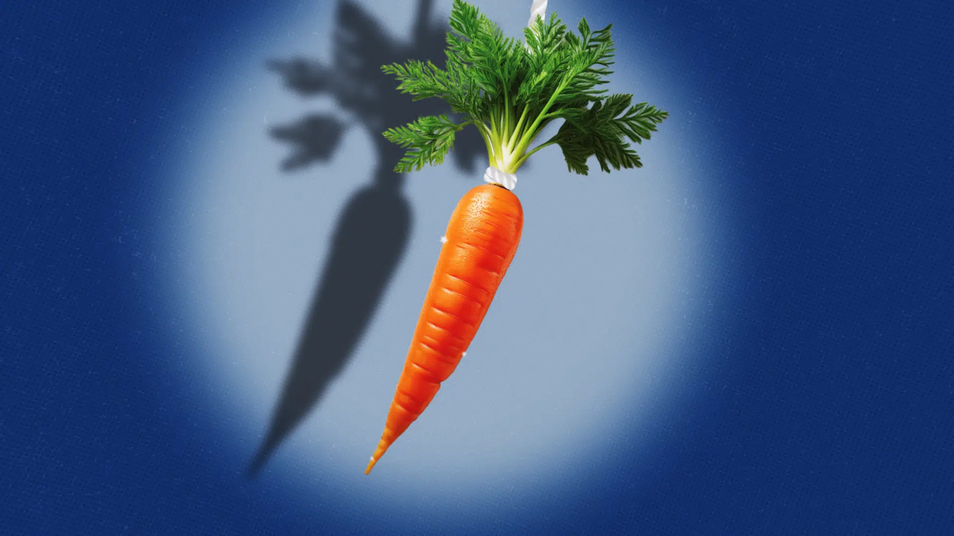 Sushi, lerdueskydning og rejser til Japan: I al stilfærdighed kæmper konsulenthusene en hård kamp om de dygtigste studerende