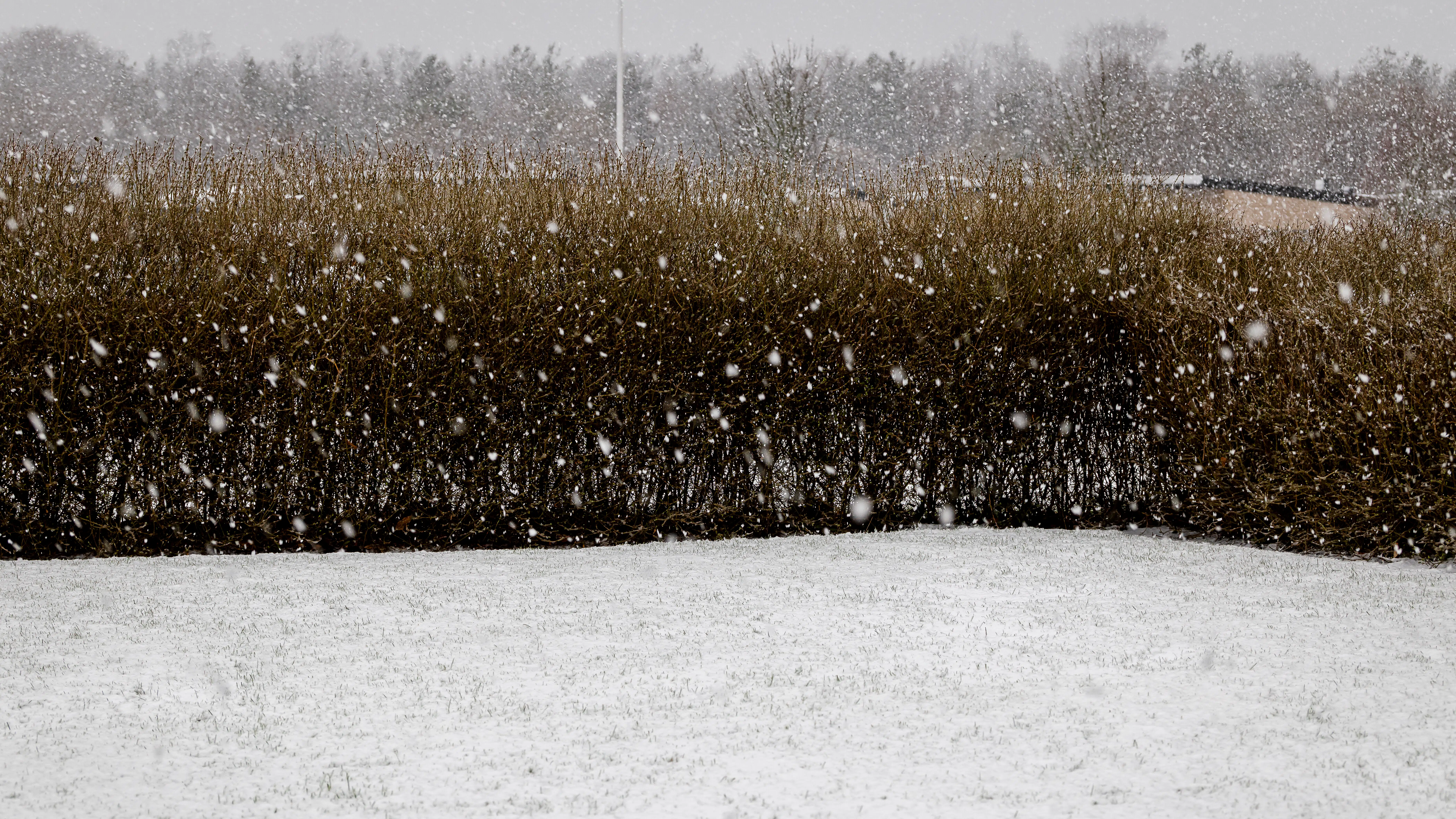 Ikke sket siden 2016: Så meget sne ramte Danmark fredag morgen