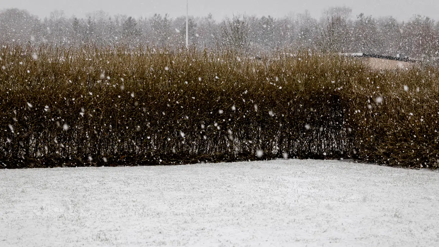 Sneen ramte dele af Jylland fredag morgen.