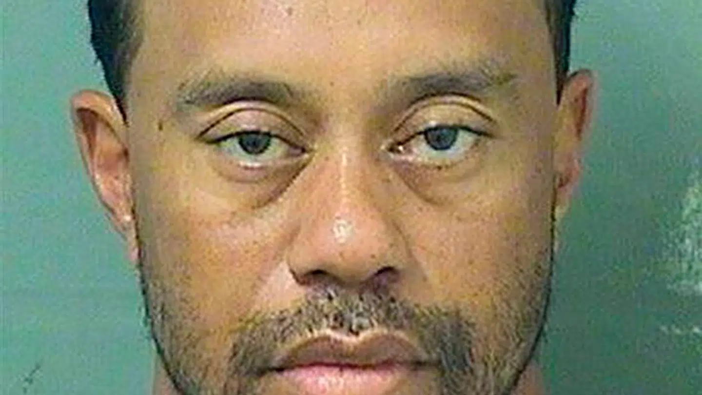 Tiger Woods' mugshot efter anholdelsen i 2017.