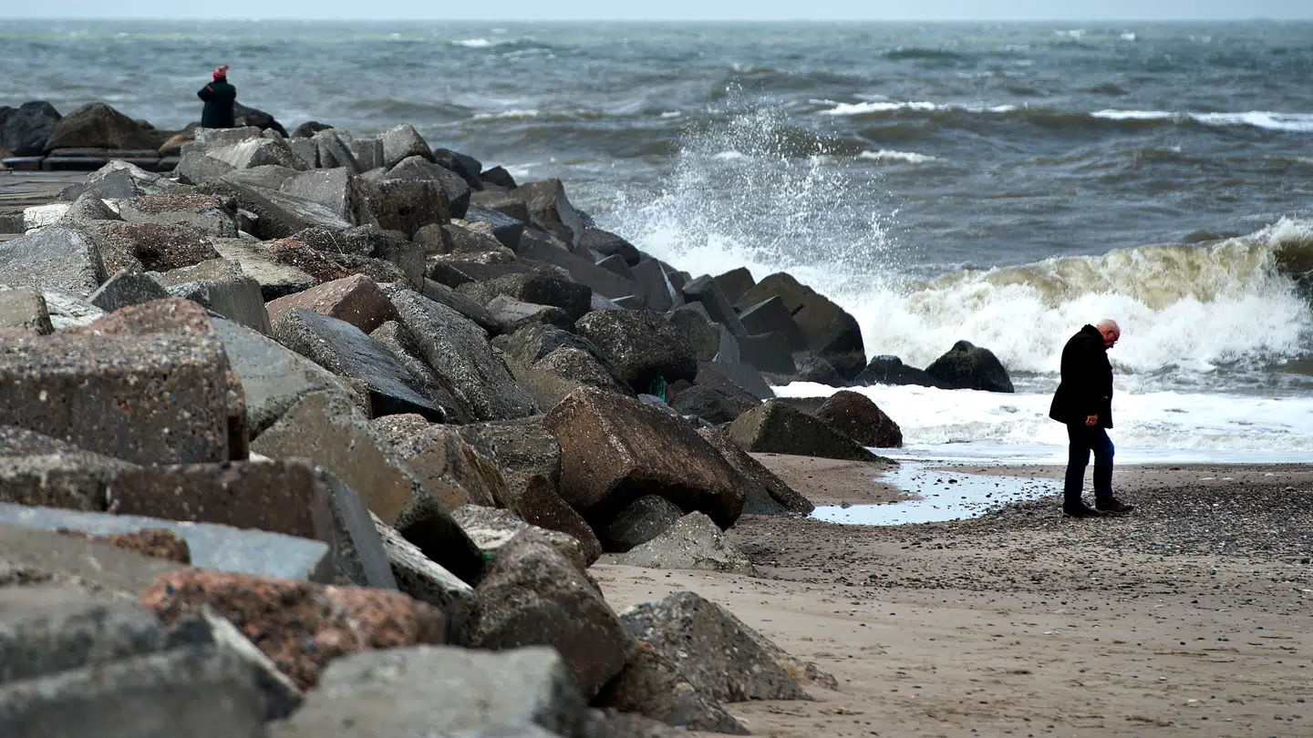 Stormen Dave, der i sidste weekend ramte Danmark har skabt gode forhold for rav-samlere.