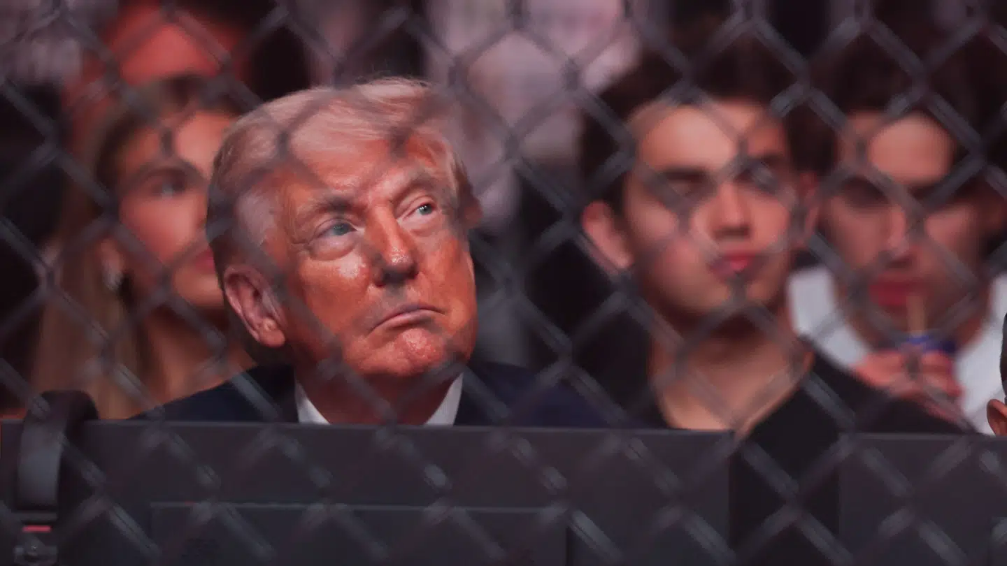 Donald Trump sad på første række til UFC-stævnet.