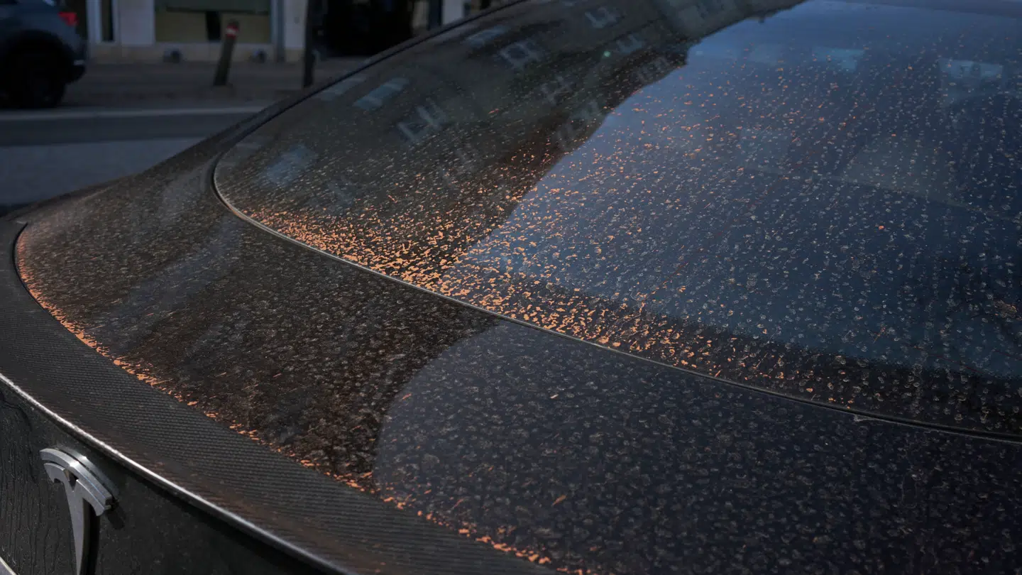 Blodregn – Saharastøv på en bil i Hellerup efter blodregn tilbage i 2021. Det sker ofte i Sydeuropa, men kommer en sjælden gang også til Danmark. Det rødlige støv er af sand fra Sahara.