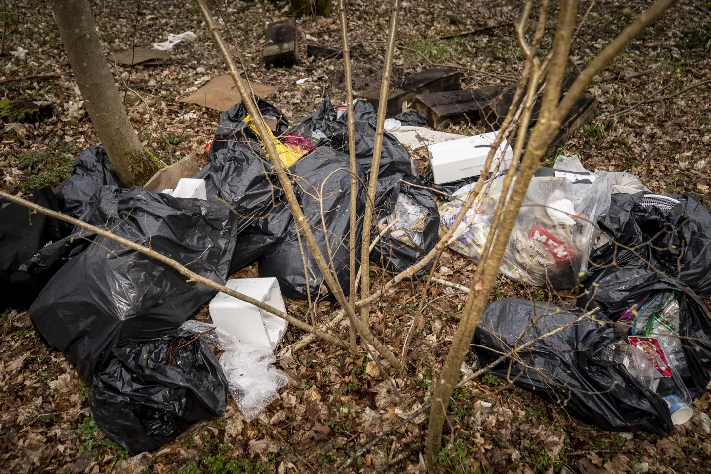 Den årlige affaldsindsamling begynder mandag, og landet over vil frivillige samle affald fra naturen og lokalområder. (Arkivfoto).