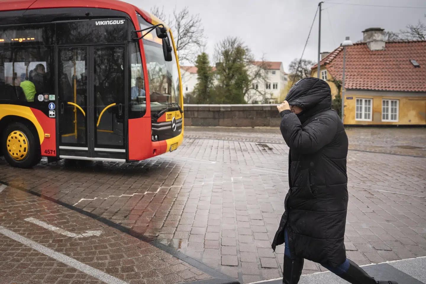 Mandag vil det regne i den vestlige del af Danmark, mens der tirsdag kan komme regn til hele landet. (Arkivfoto).
