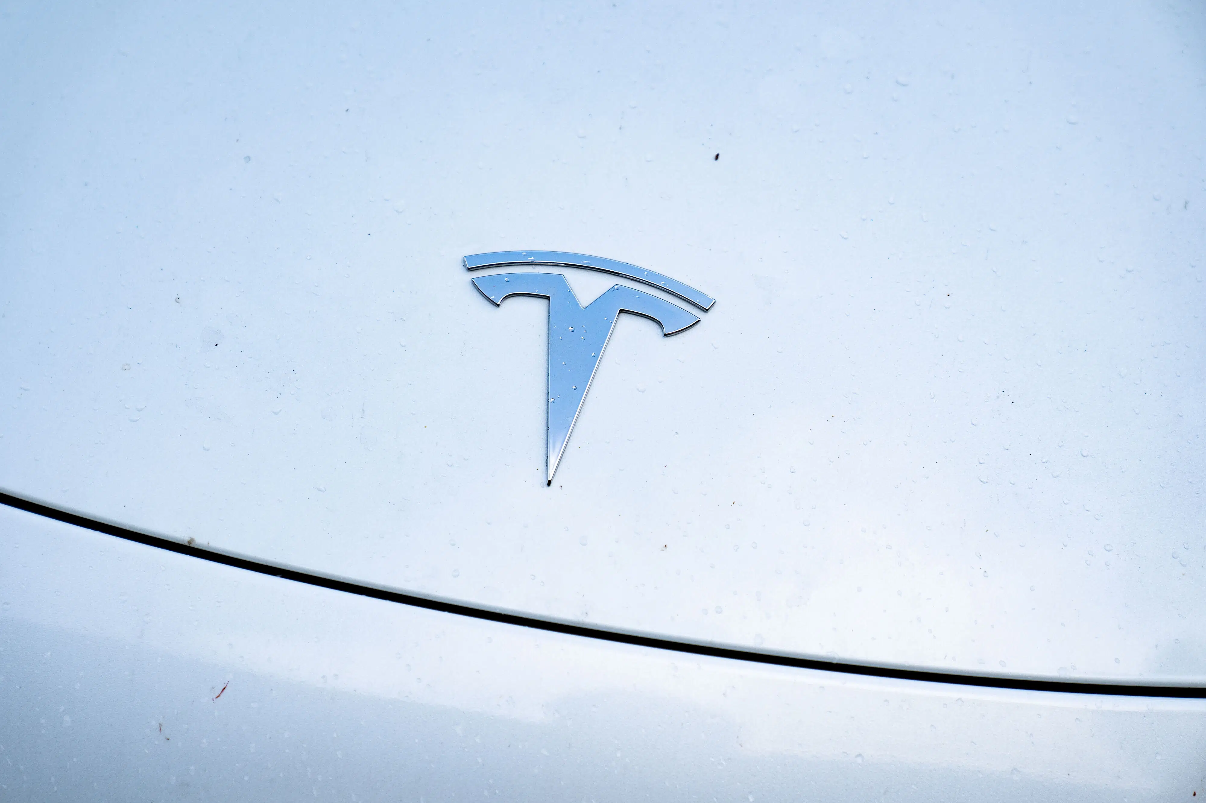 Hurtig prøvetur i Tesla kan koste gæld på halv million