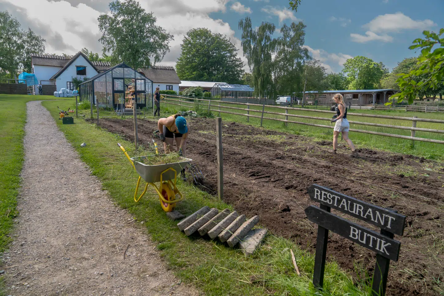 Agroturisme kan skabe nye arbejdspladser og vækst i landdistrikterne, mener skribenterne bag denne kommentar. På billedet ses det økologiske landbrug Rabarbergaarden. Arkivfoto: Søren Bidstrup