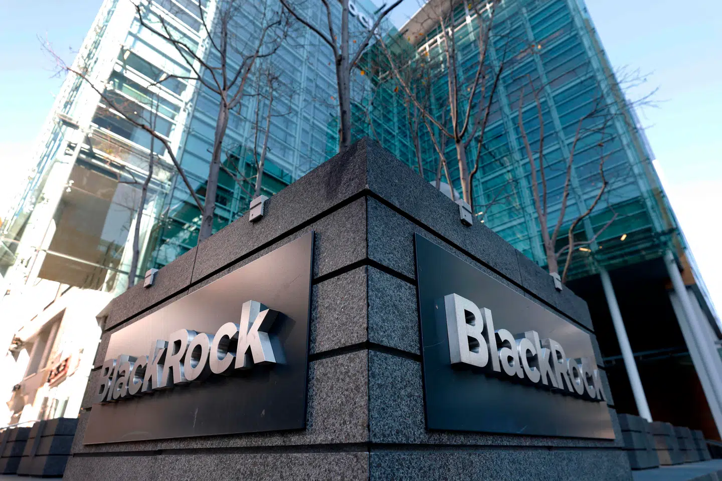 Den gigantiske kapitalforvalter BlackRock styrer investeringer for knap 90.000 milliarder kroner og har fingeren på pulsen.