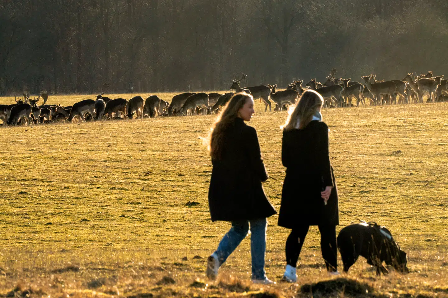 Stress er et stort problem, og vi må kigge på de urimelige rammer på arbejdsmarkedet, mener Anette Nielsen.