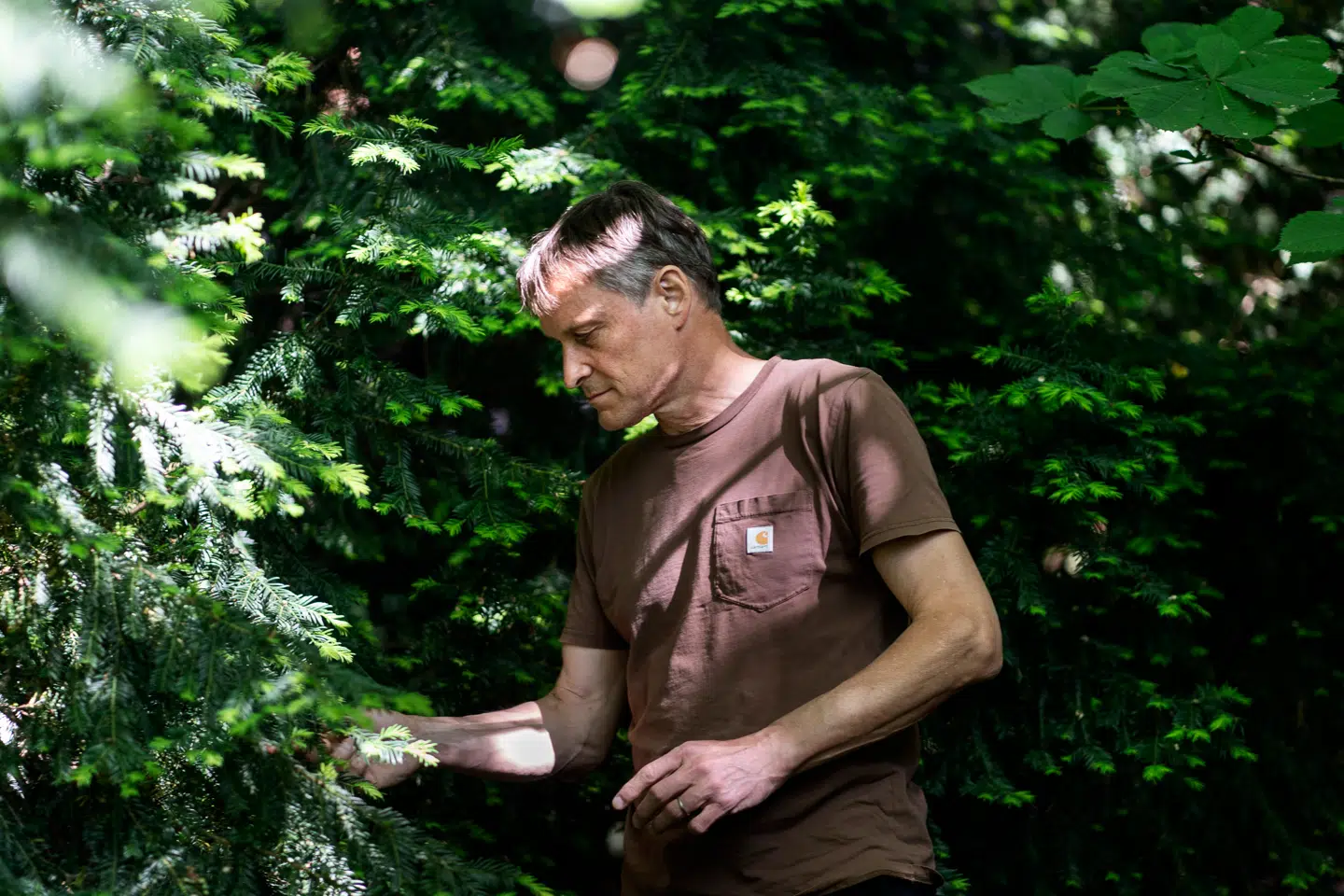 Fødevaresystemet i Danmark skal reformeres, mener Claus Meyer. Den animalske produktion fylder for meget, og landbruget skal drives på en måde, som er mere skånsom over for klimaet og biodiversiteten.