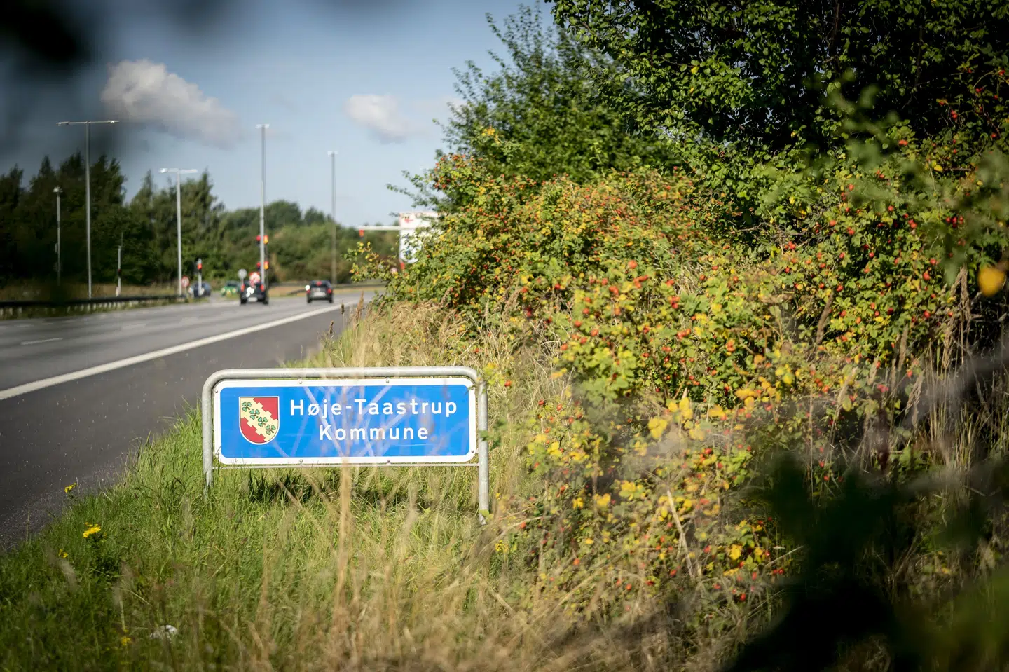 Dele af et skelet blev fundet i et forhistorisk vådområde ved Lindehøj i Høje-Taastrup Kommune. Det er nu slået fast, at skelettet er omkring 2000 år gammelt, skriver Politiken. (Arkivfoto).