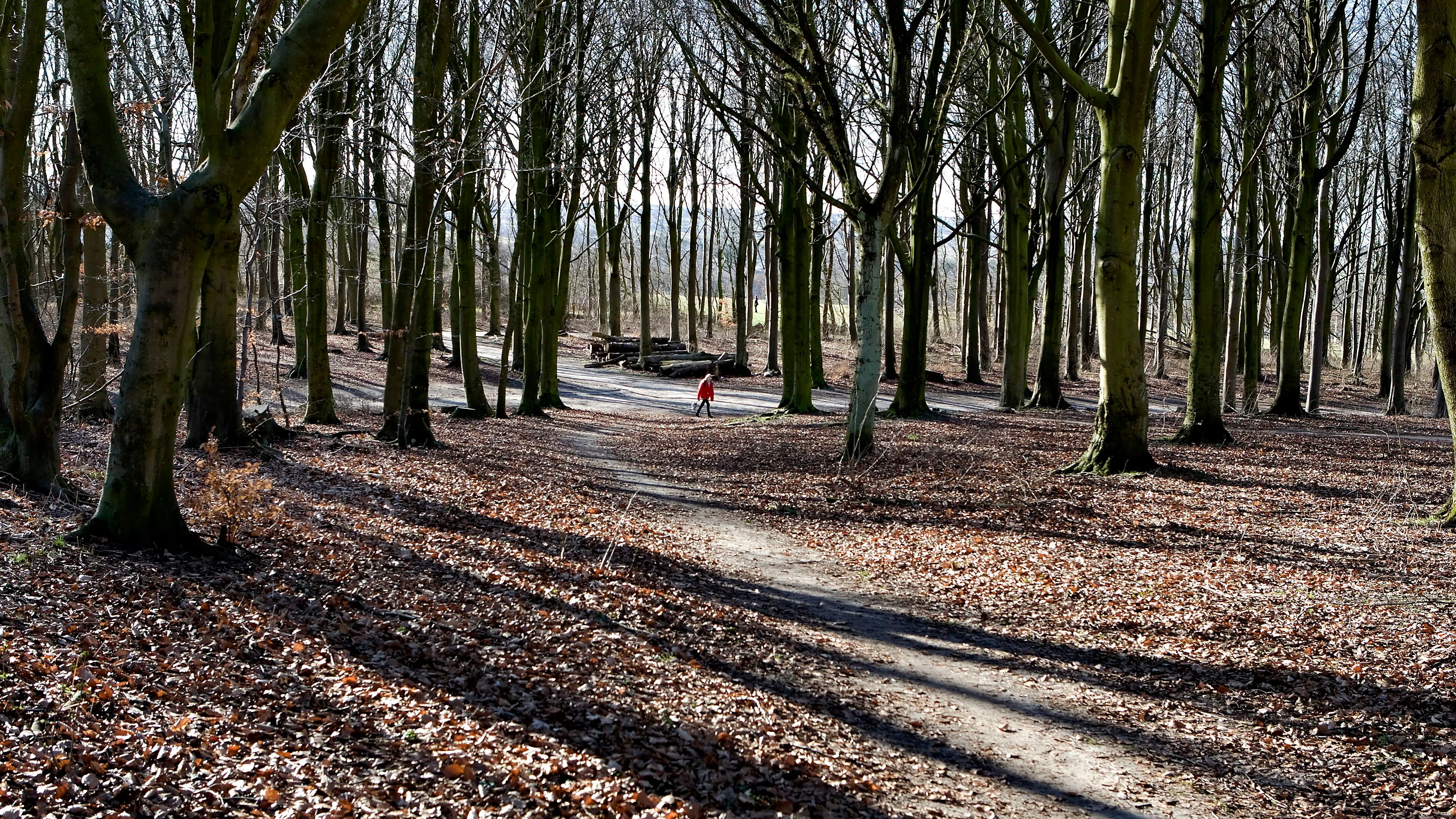 DMI: Kold luft lurer nordfra