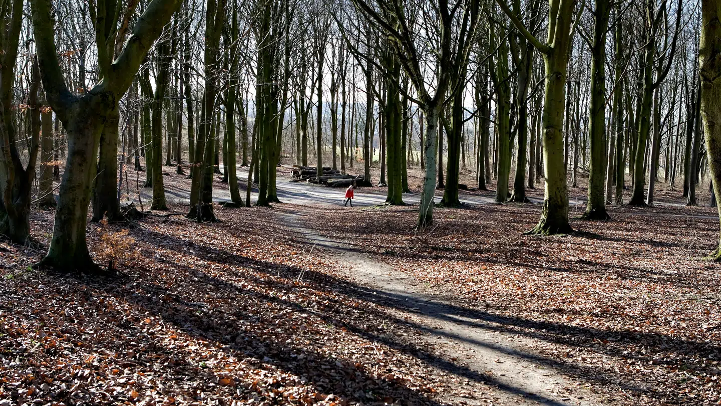 Kold luft lurer nordfra i den kommende uge, hvilket kan banke temperaturene længere ned.