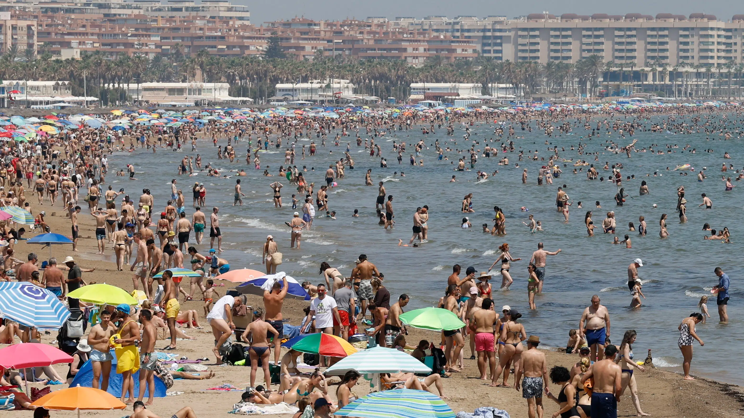 Kan ramme dansker-favoritter til sommer: 'Der er stor risiko'