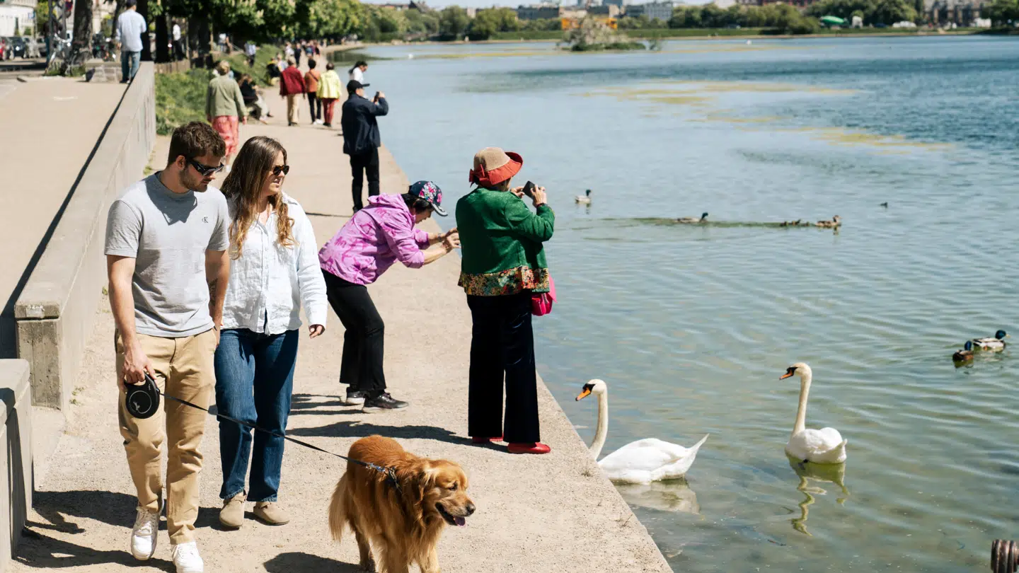 Om sommeren bør man tage flere forholdsregler for at beskytte sig mod skader, der kan føre til kræft.