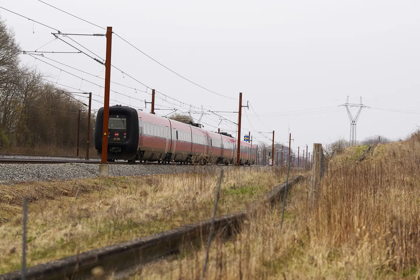 En nedrevet køreledning mellem Ringsted og Køge Nord skabte tirsdag forstyrrelser i togdriften på hele Sjælland. (Arkivfoto).