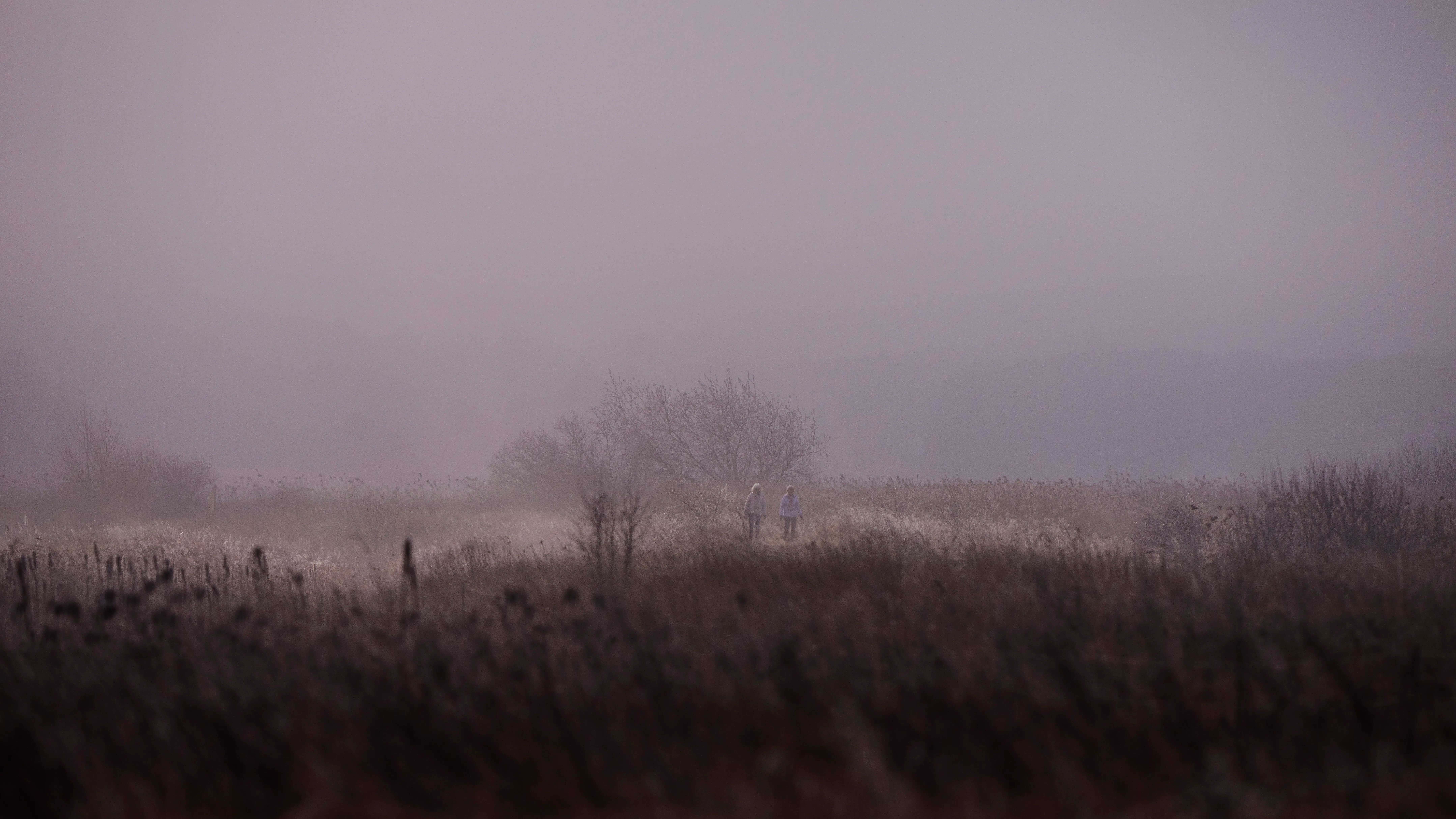 Politiet advarer: 'Kan opstå pludseligt – vær ekstra opmærksom'