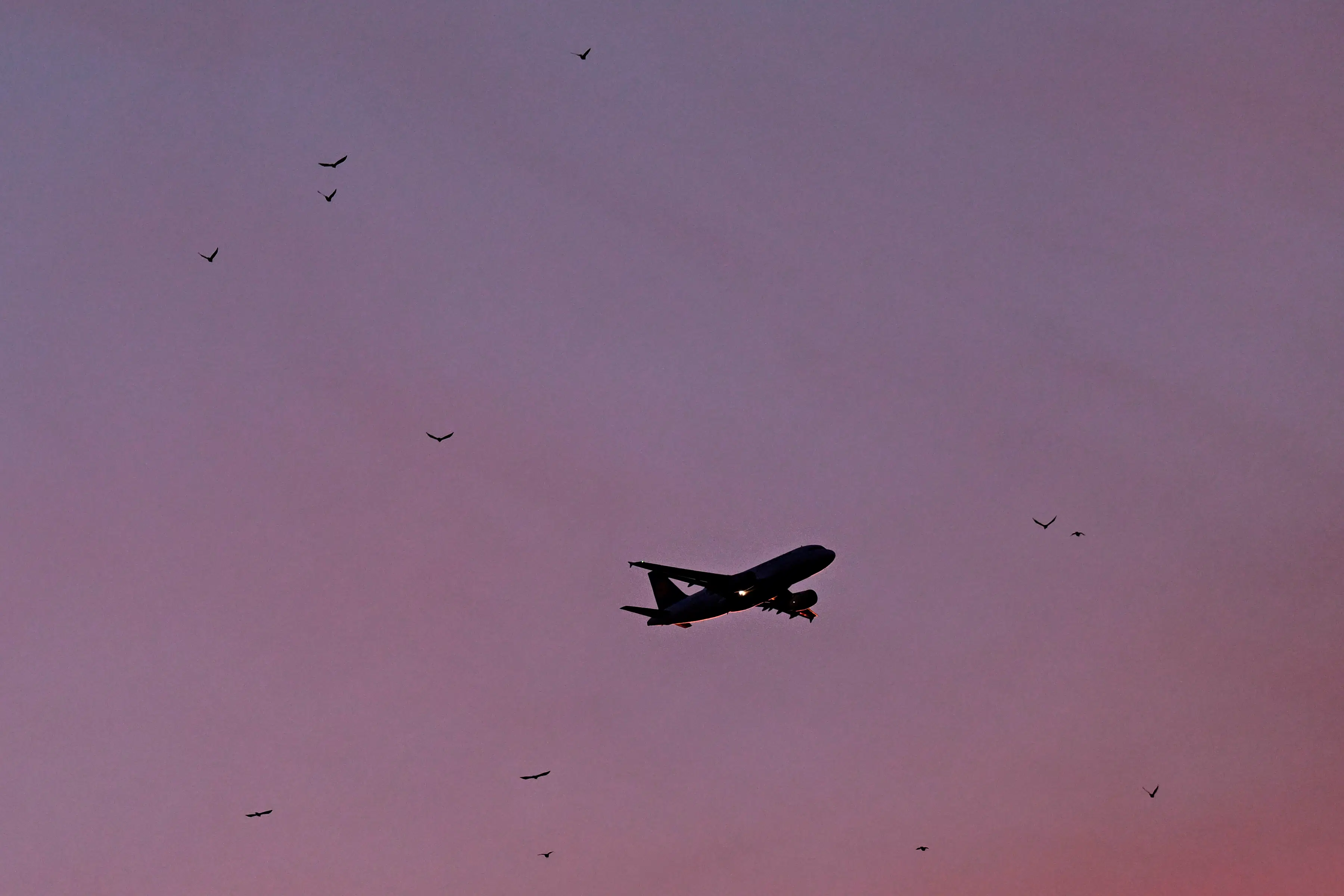 Tusindvis af rejseklare danskere modtager lige nu ekstra opkrævning fra rejseselskabet før afrejse