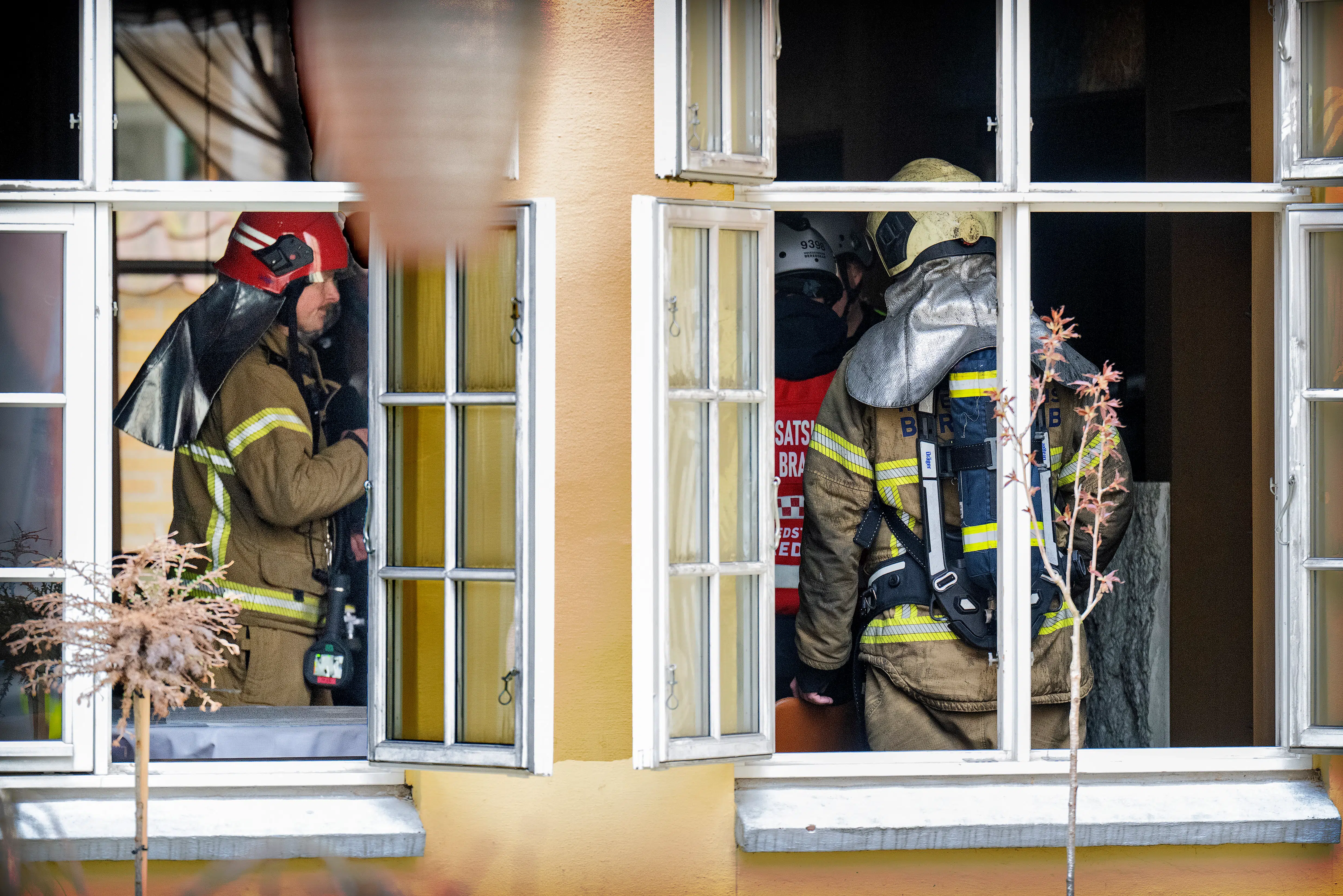 Direktør fortæller om årsagen til brand i Michelin-restaurant – hundedyre »udstillingsvine« skal destrueres