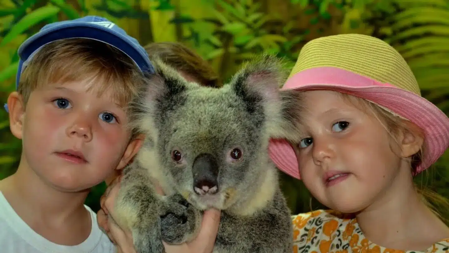 Kongehuset har delt intet mindre end 26 billeder af de royale tvillingsøskende.