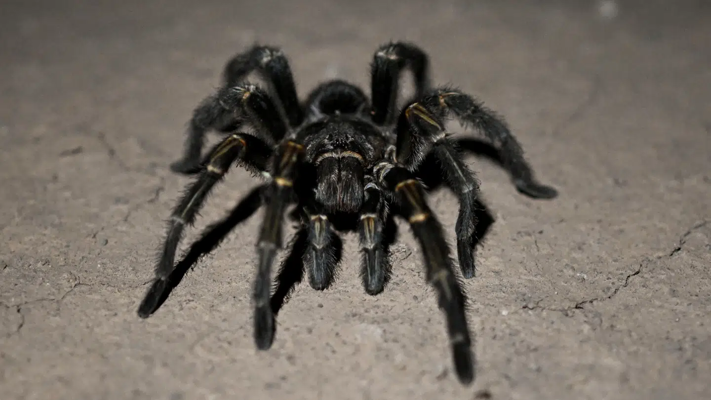 Billedet har ikke relation til den omtalte sag.