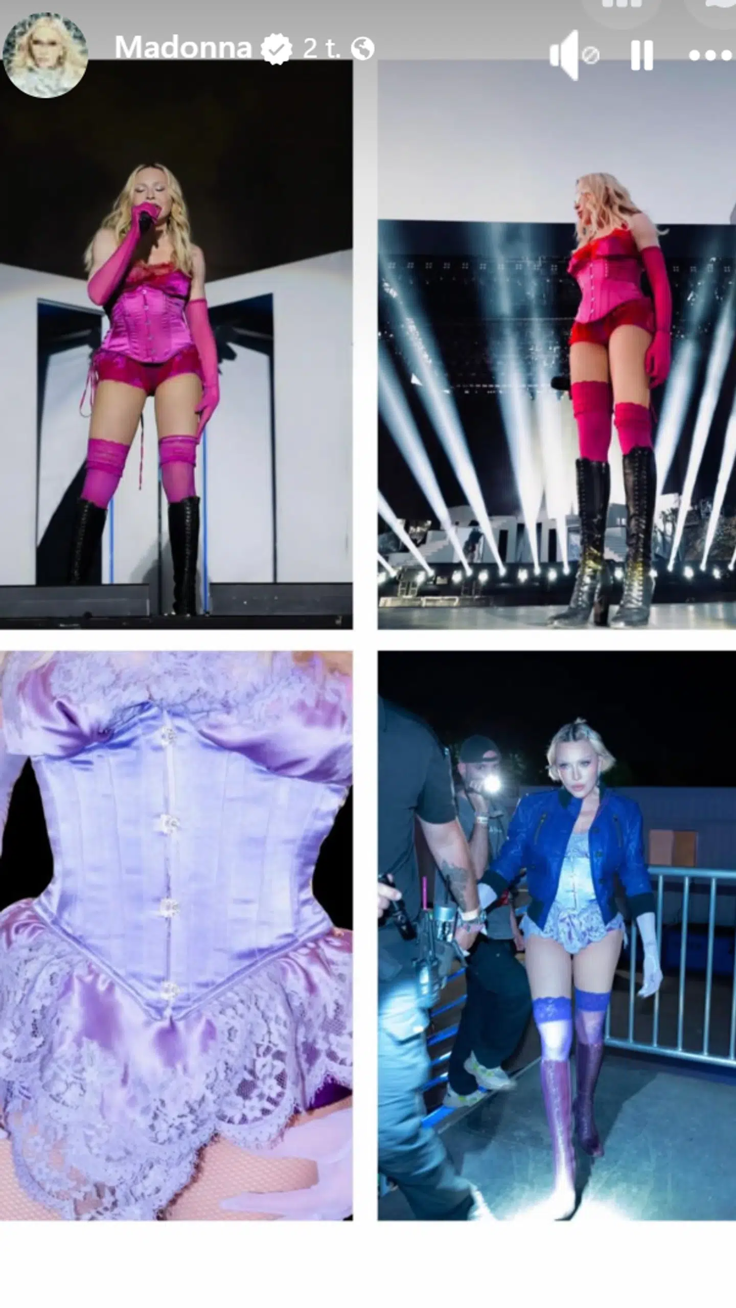 Det er disse kostumer, som er blevet stjålet.