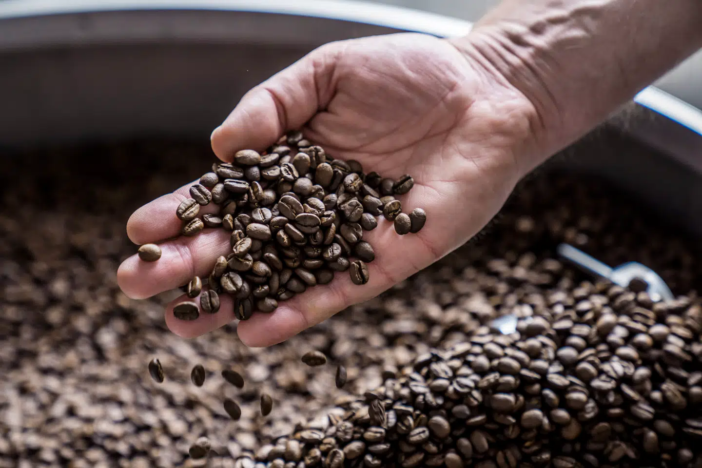 En turbulent verdenssituation og uheldigt vejr har de seneste år presset råvareprisen på kaffe opad. Nu vender tiderne.