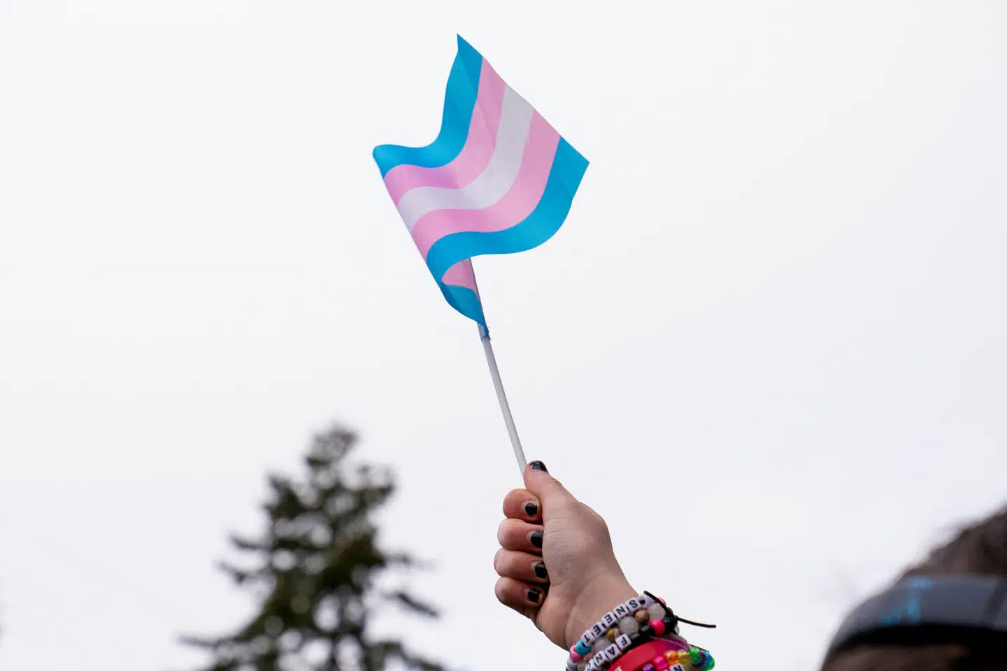 Lisa Agervold går nu i rette med Dorte Tofts klumme om kønsskiftebehandling til transkønnede. På billedet ses det transkønnede flag ved en demonstration i Seattle, Washington i USA. Arkivfoto: David Ryder/Reuters/Ritzau Scanpix