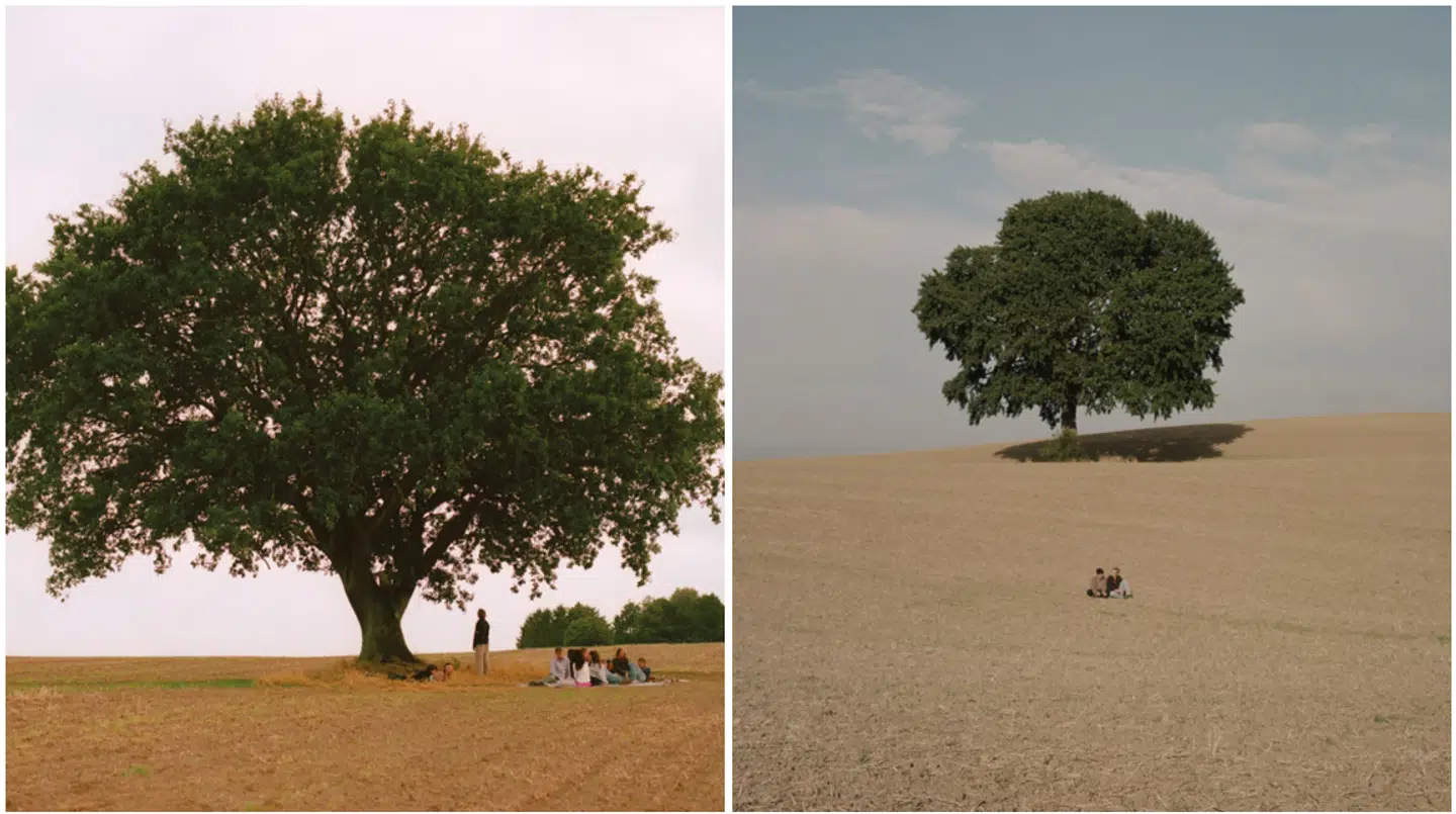 Coveret til Aphacas album 'Vild ungdom' til venstre og coveret til Saveus og Guldimunds single 'Vil du noget?' til højre.