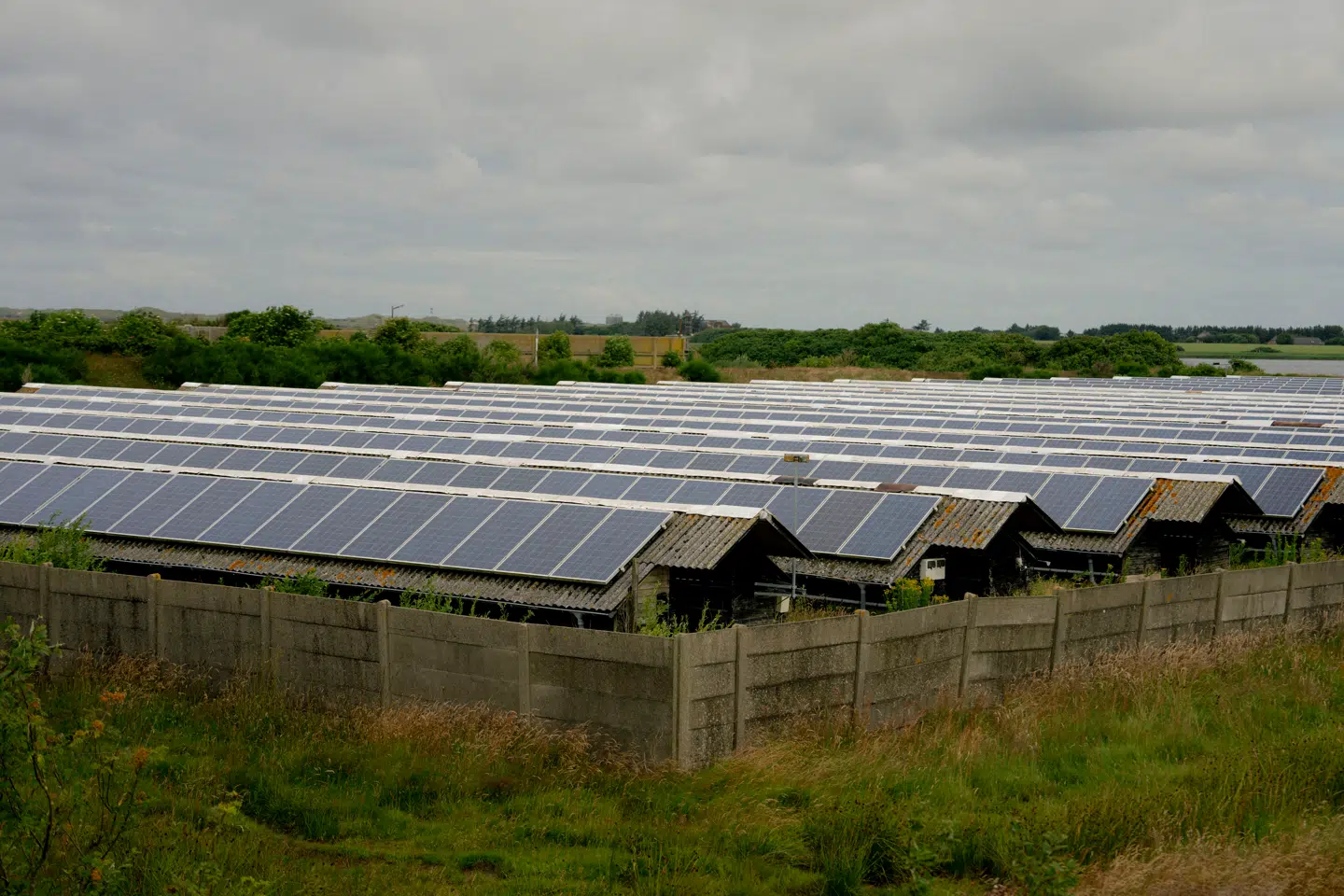 På tre år er andelen af elektricitet fra solenergi fordoblet, og solenergi har en stor del af æren for at vedvarende energikilder nu overgår kul.