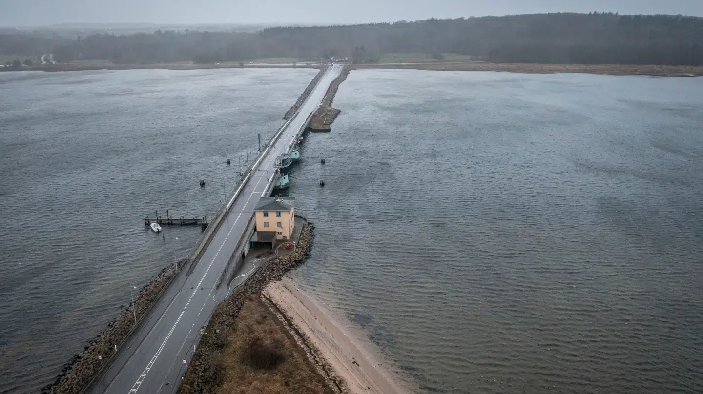 ARKIVFOTO af Kronprins Frederiks Bro.