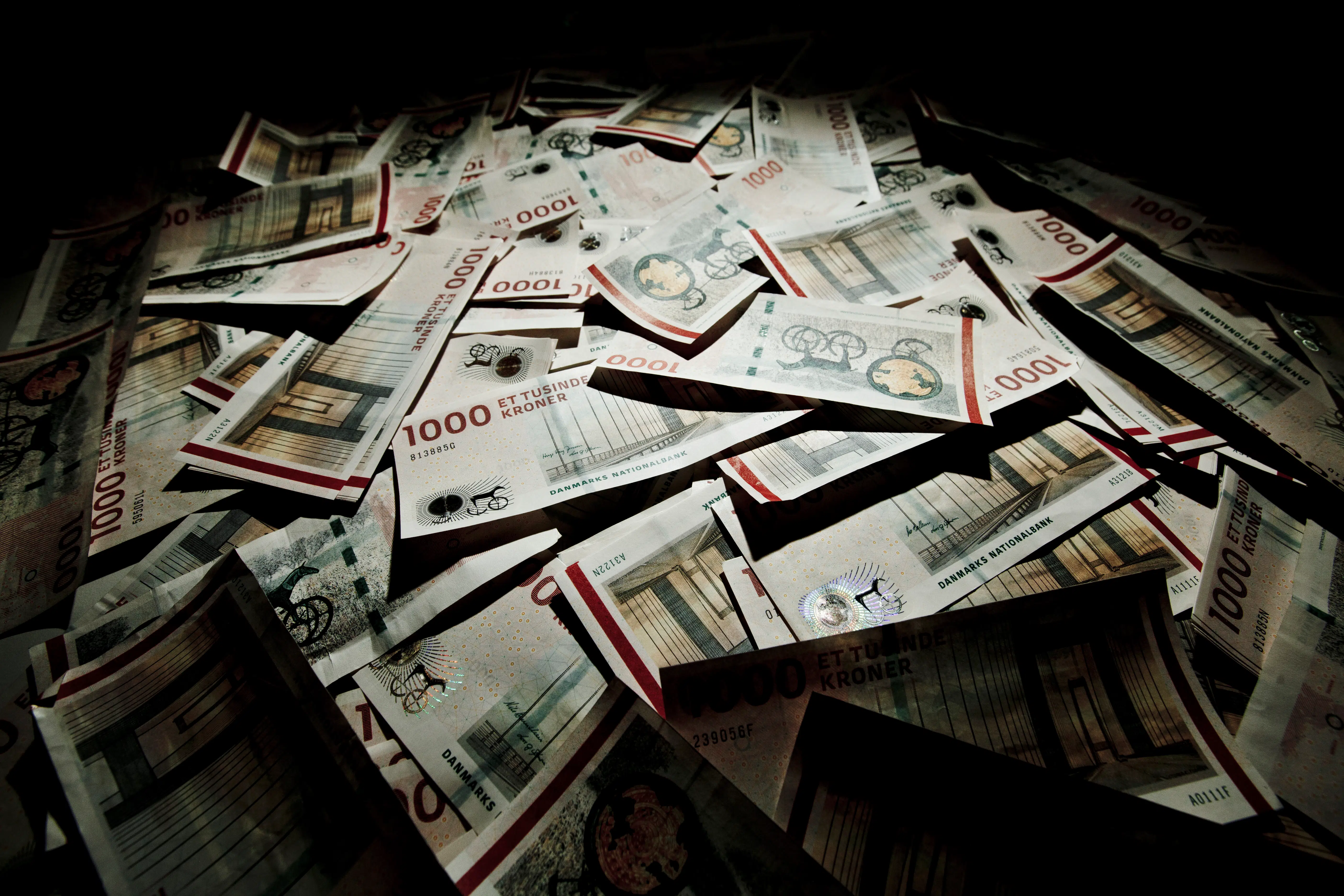 Vi har skabt et hul, som tusinder af danske virksomheder udnytter til svindel. Det skal vi stoppe omgående