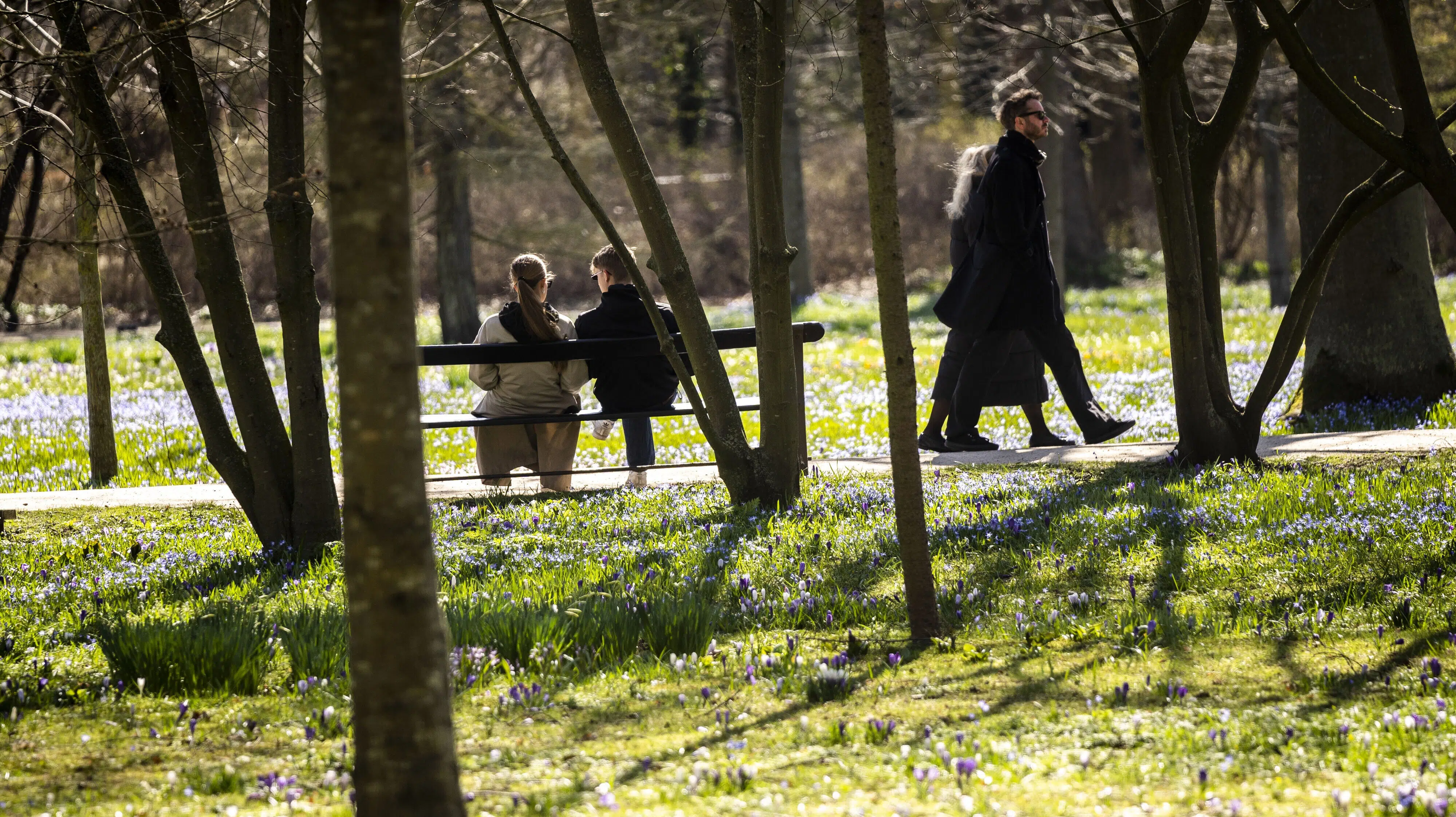 Mand blev kvæstet af gren – nu svarer havens ejere