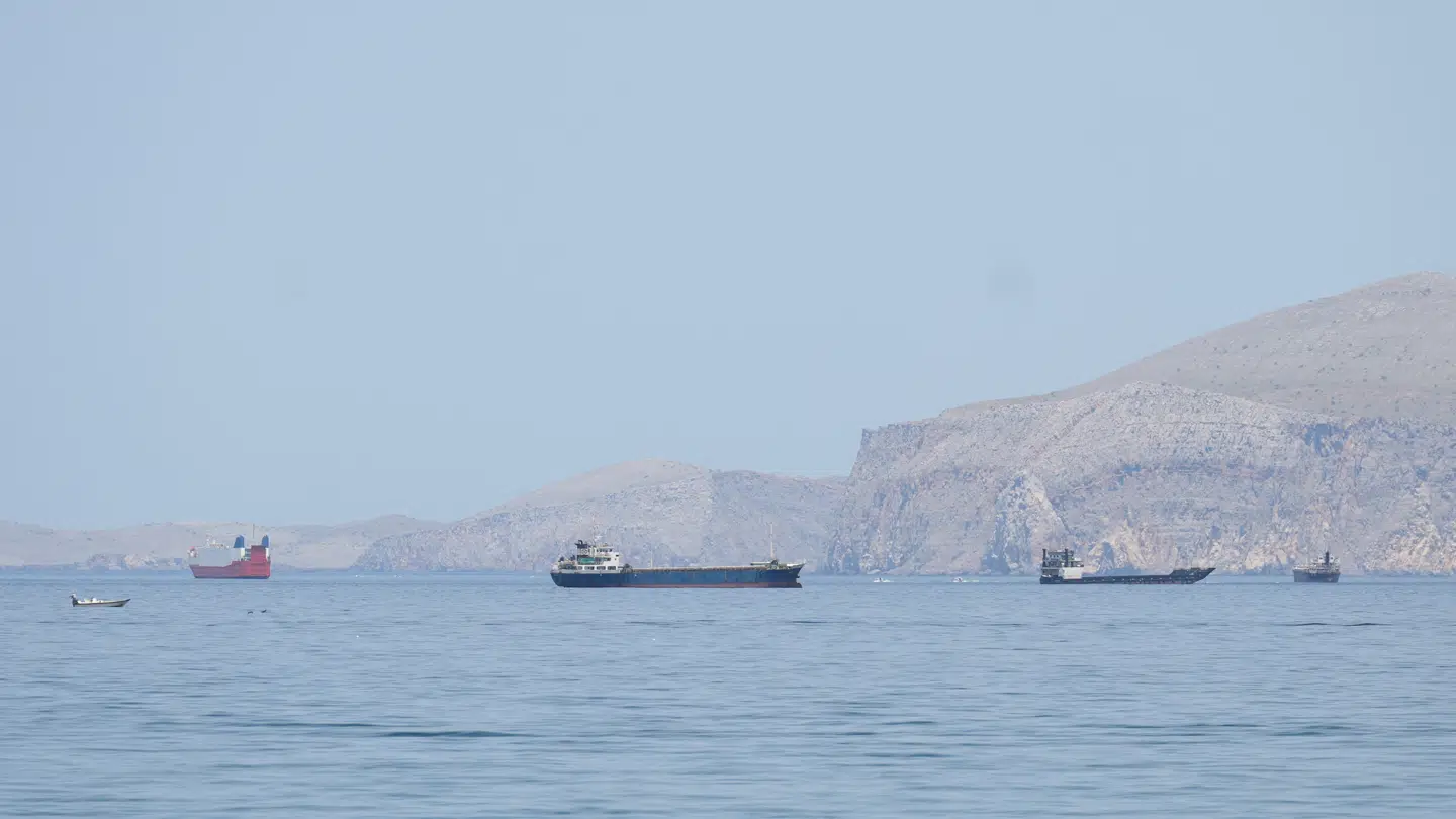 Skibe og både i Hormuzstrædet 24. april.