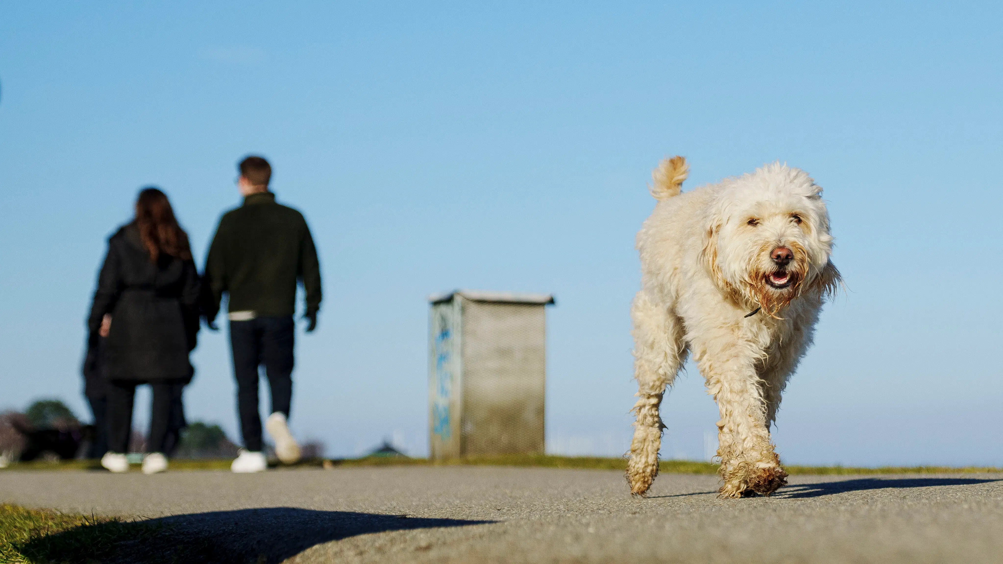 DMI med opfordring: Husk solcremen søndag