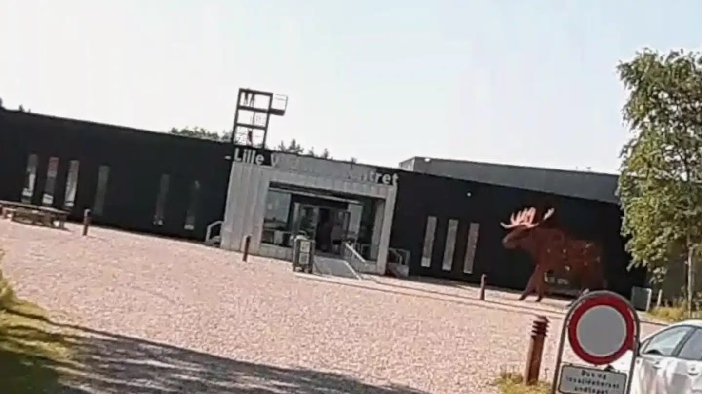 Det var her ved siden af Lille Vildmosecentret, at Erik Skov måtte nødlande søndag eftermiddag.