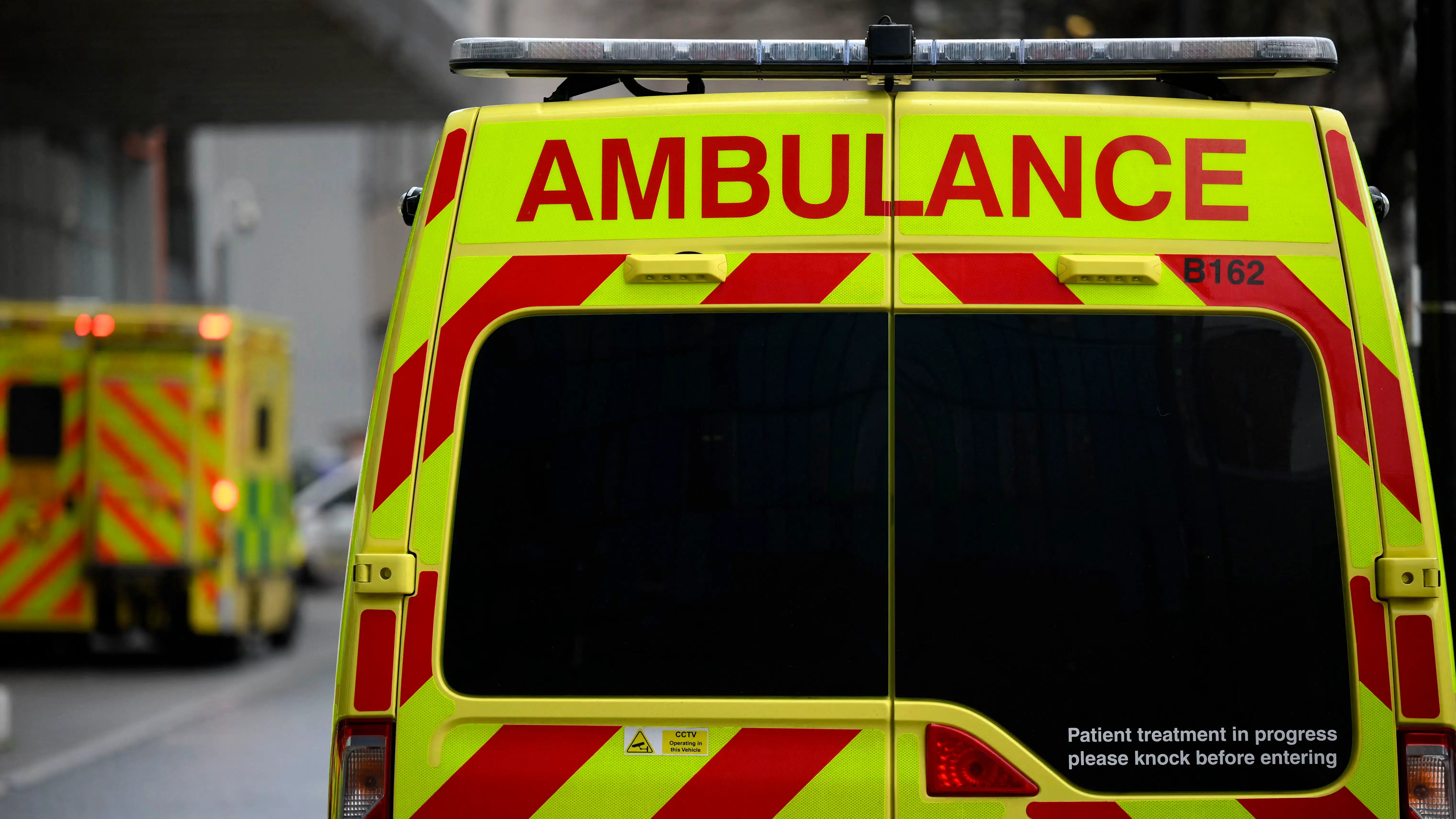 Syvårig dreng og hans mor omkommet i park i London