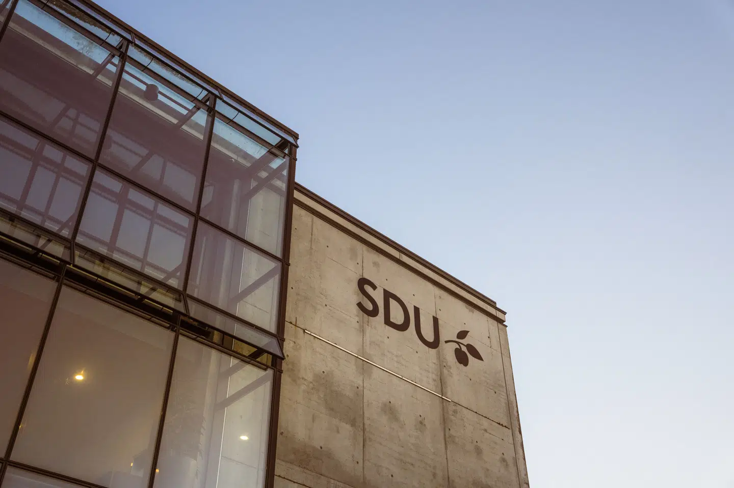 Thomas Buchvald Vind, som var universitetsdirektør på SDU, er pludseligt død, skriver universitetet. Han nød stor respekt på universitetet, skriver bestyrelsesformand Søren Vilby i en nekrolog. (Arkivfoto).