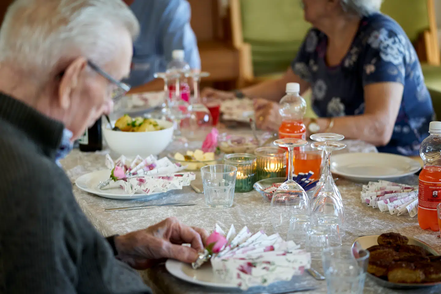 Der er for langt mellem hakkebøfferne på plejehjemmene i København. Ældreråd og partier i Borgerrepræsentationen bebuder nu et opgør med en madstrategi, hvor der er gået for meget »linsefest« i den, lyder kritikken.