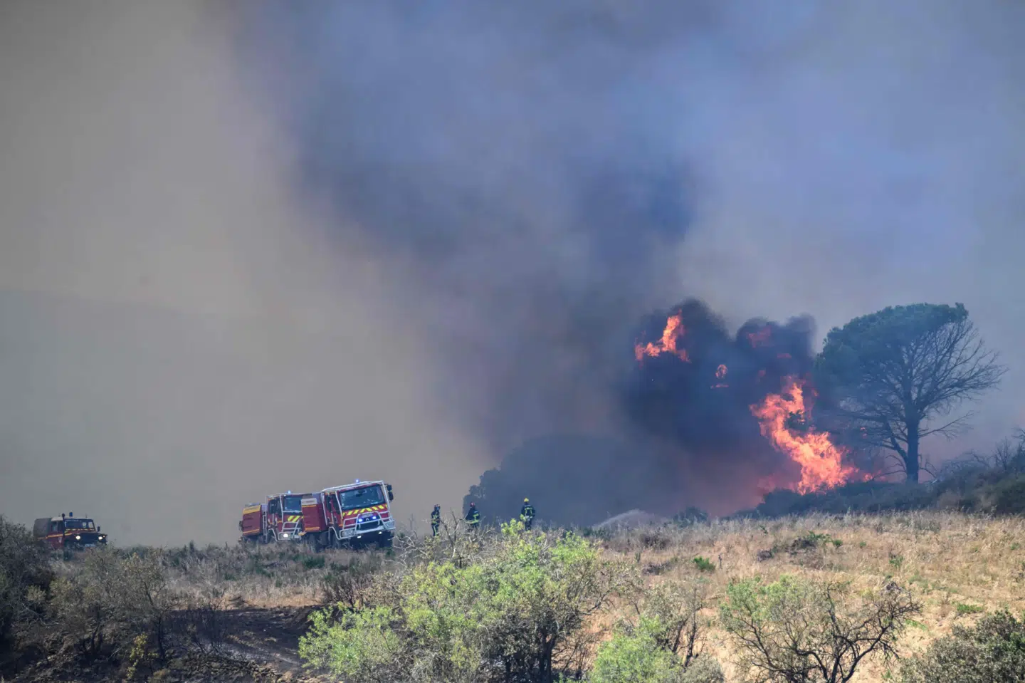 Brandfolk rykker ud til en naturbrand nær Bizanet i det sydlige Frankrig sidste sommer. (Arkivfoto).